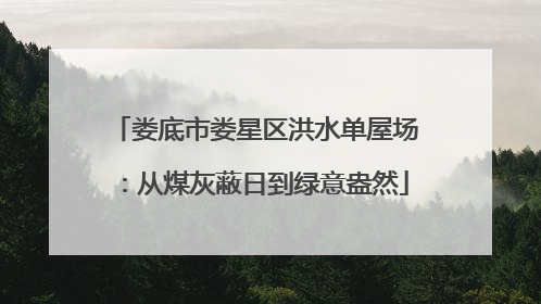 娄底市娄星区洪水单屋场：从煤灰蔽日到绿意盎然