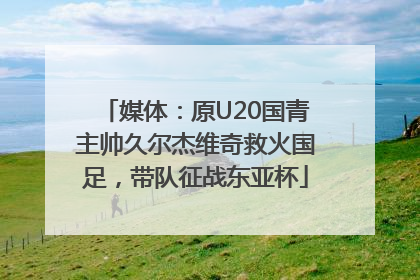 媒体：原U20国青主帅久尔杰维奇救火国足，带队征战东亚杯