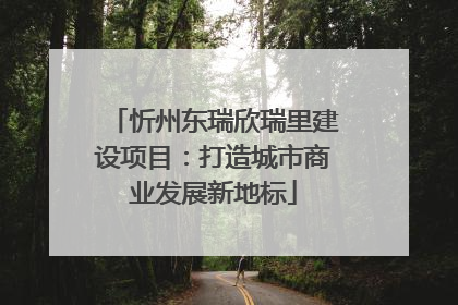 忻州东瑞欣瑞里建设项目：打造城市商业发展新地标