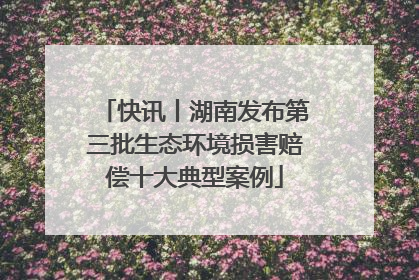 快讯丨湖南发布第三批生态环境损害赔偿十大典型案例