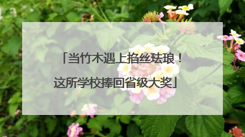 当竹木遇上掐丝珐琅！这所学校捧回省级大奖