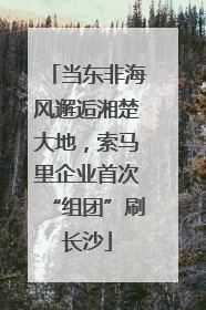 当东非海风邂逅湘楚大地，索马里企业首次“组团”刷长沙