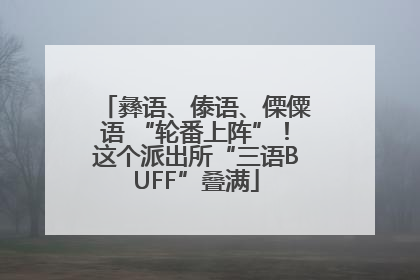 彝语、傣语、傈僳语 “轮番上阵”！这个派出所“三语BUFF”叠满