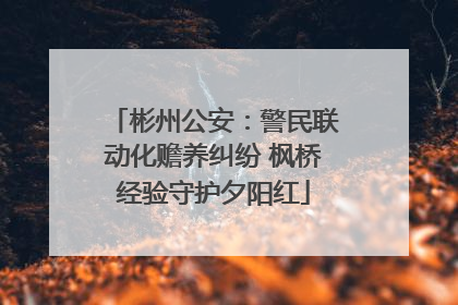 彬州公安：警民联动化赡养纠纷 枫桥经验守护夕阳红