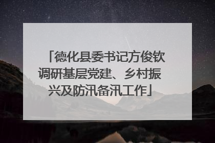 德化县委书记方俊钦调研基层党建、乡村振兴及防汛备汛工作