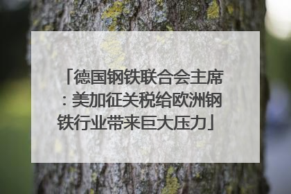 德国钢铁联合会主席：美加征关税给欧洲钢铁行业带来巨大压力