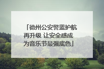德州公安警蓝护航再升级 让安全感成为音乐节最强底色