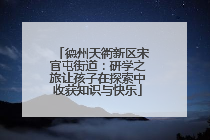 德州天衢新区宋官屯街道：研学之旅让孩子在探索中收获知识与快乐
