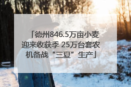 德州846.5万亩小麦迎来收获季 25万台套农机备战“三夏”生产