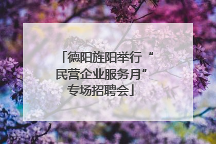 德阳旌阳举行“民营企业服务月”专场招聘会