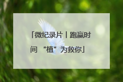 微纪录片丨跑赢时间 “植”为救你