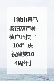 微山县马坡镇葫芦种植户巧摆“104”庆祝建党104周年