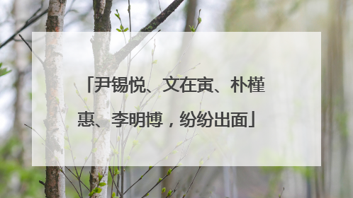 尹锡悦、文在寅、朴槿惠、李明博，纷纷出面