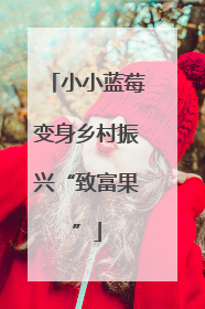 小小蓝莓变身乡村振兴“致富果”
