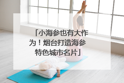 小海参也有大作为！烟台打造海参特色城市名片