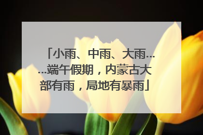 小雨、中雨、大雨……端午假期，内蒙古大部有雨，局地有暴雨