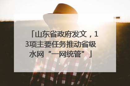 山东省政府发文，13项主要任务推动省级水网“一网统管”
