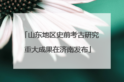 山东地区史前考古研究重大成果在济南发布
