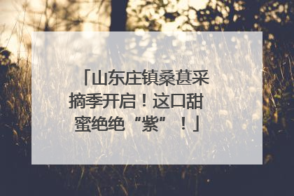 山东庄镇桑葚采摘季开启！这口甜蜜绝绝“紫”！