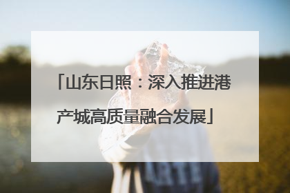 山东日照：深入推进港产城高质量融合发展