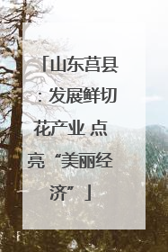 山东莒县：发展鲜切花产业 点亮“美丽经济”