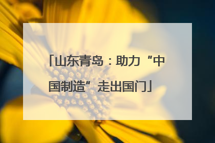 山东青岛：助力“中国制造”走出国门