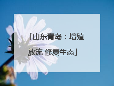 山东青岛：增殖放流 修复生态