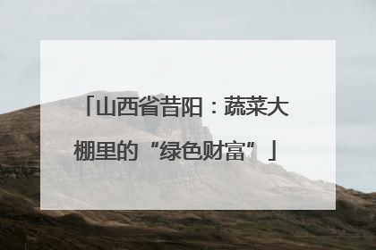 山西省昔阳：蔬菜大棚里的“绿色财富”