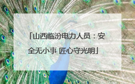 山西临汾电力人员：安全无小事 匠心守光明