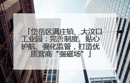 岱岳区满庄镇、大汶口工业园：完善制度、贴心护航、强化监管，打造优质营商“强磁场”