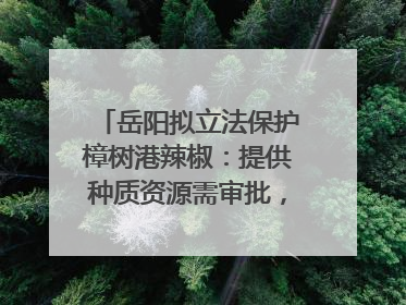 岳阳拟立法保护樟树港辣椒：提供种质资源需审批，违规最高罚5万
