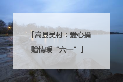 嵩县吴村：爱心捐赠情暖“六一”