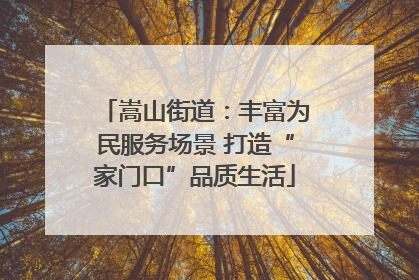 嵩山街道：丰富为民服务场景 打造“家门口”品质生活