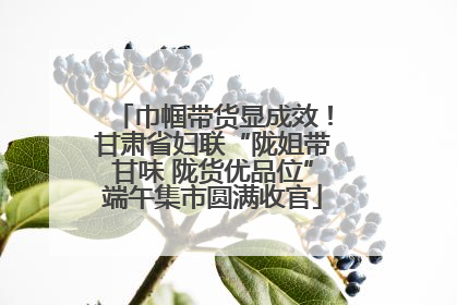 巾帼带货显成效！甘肃省妇联“陇姐带甘味 陇货优品位”端午集市圆满收官