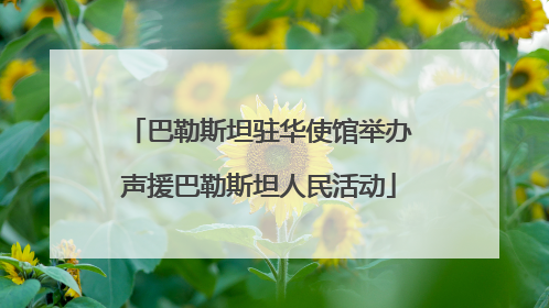 巴勒斯坦驻华使馆举办声援巴勒斯坦人民活动