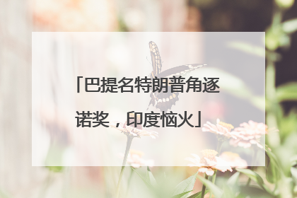 巴提名特朗普角逐诺奖，印度恼火