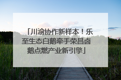 川渝协作新样本！乐至生态白鹅牵手荣昌卤鹅点燃产业新引擎