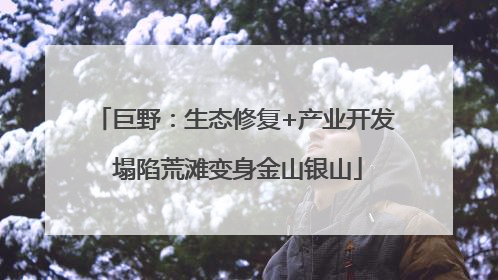 巨野：生态修复+产业开发 塌陷荒滩变身金山银山