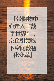 带购物中心走入“数字世界”，京企引领线下空间数智化变革