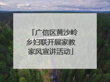 广信区黄沙岭乡妇联开展家教家风宣讲活动