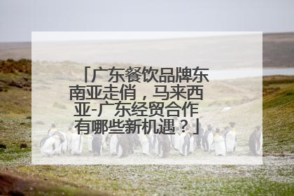 广东餐饮品牌东南亚走俏，马来西亚-广东经贸合作有哪些新机遇？