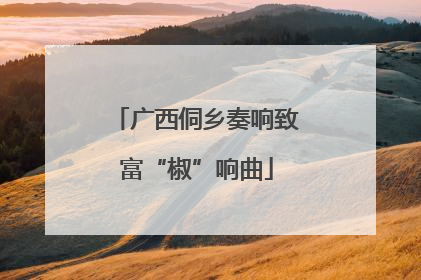 广西侗乡奏响致富“椒”响曲