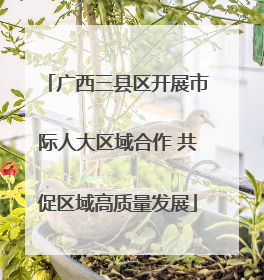 广西三县区开展市际人大区域合作 共促区域高质量发展