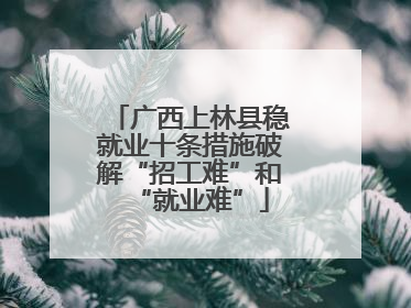 广西上林县稳就业十条措施破解“招工难”和“就业难”