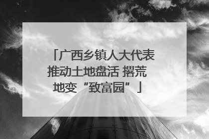 广西乡镇人大代表推动土地盘活 撂荒地变“致富园”