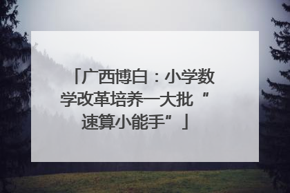 广西博白：小学数学改革培养一大批“速算小能手”
