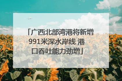 广西北部湾港将新增991米深水岸线 港口吞吐能力劲增