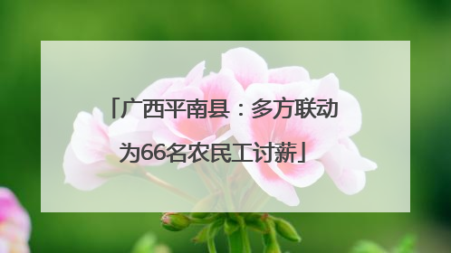 广西平南县：多方联动为66名农民工讨薪