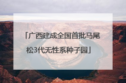 广西建成全国首批马尾松3代无性系种子园