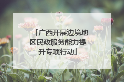 广西开展边境地区民政服务能力提升专项行动
